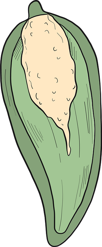 Jalapeño