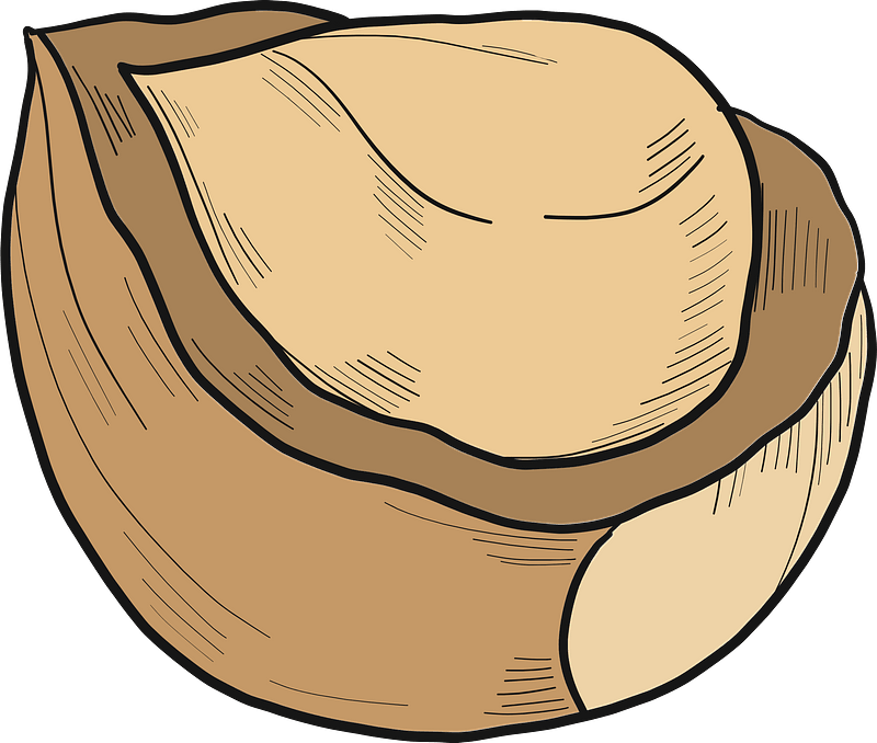 Hazelnut