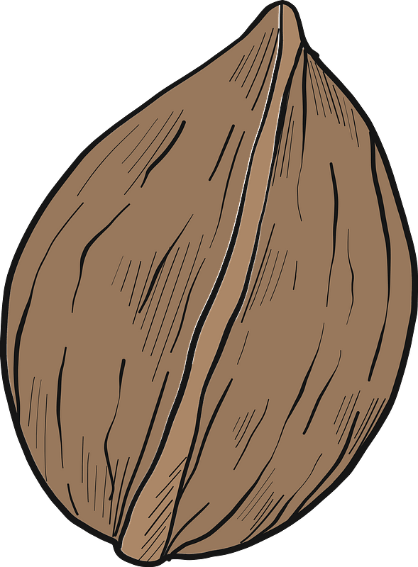 Kenari