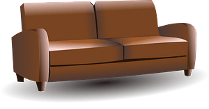 Brown couch