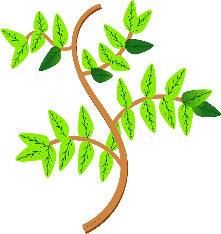 Leaves and Branches