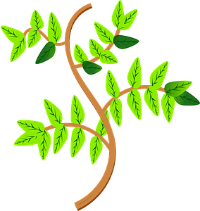 Leaves and Branches