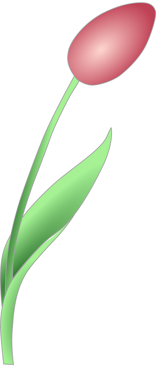 Pink flower bud on the stem
