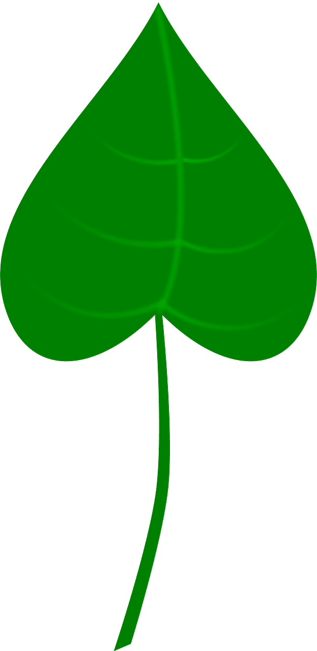 Зелений лист