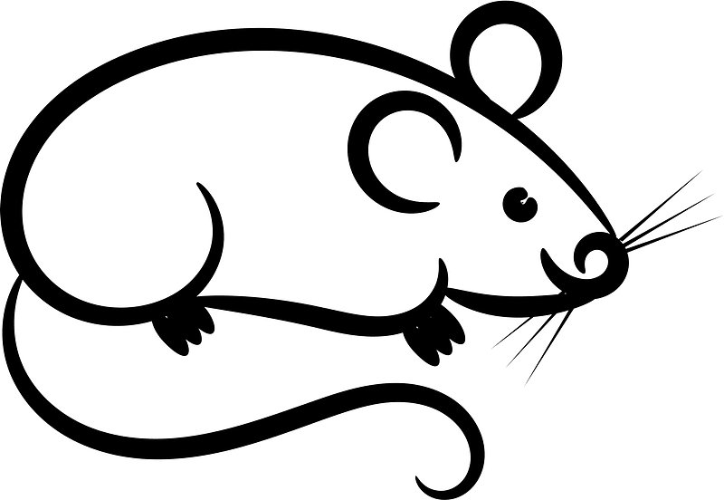 Mouse Outline - Free vector clipart images on creazilla.com