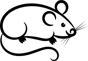 Mouse Outline