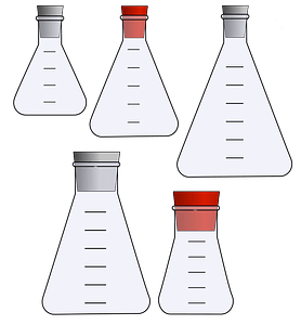 Erlenmeyer Flasks with Stoppers