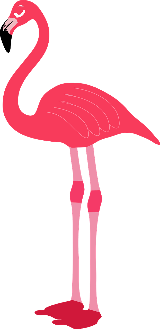Pink Flamingo