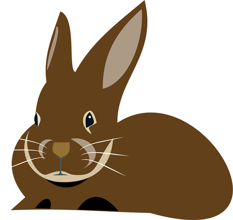 Brown rabbit
