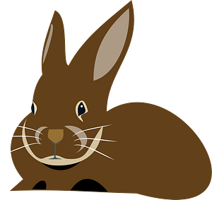 Brown rabbit