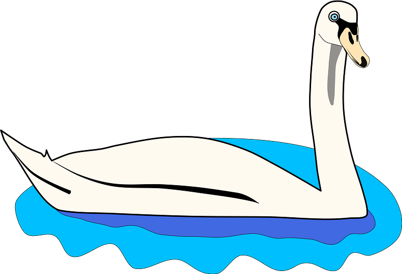 Swan