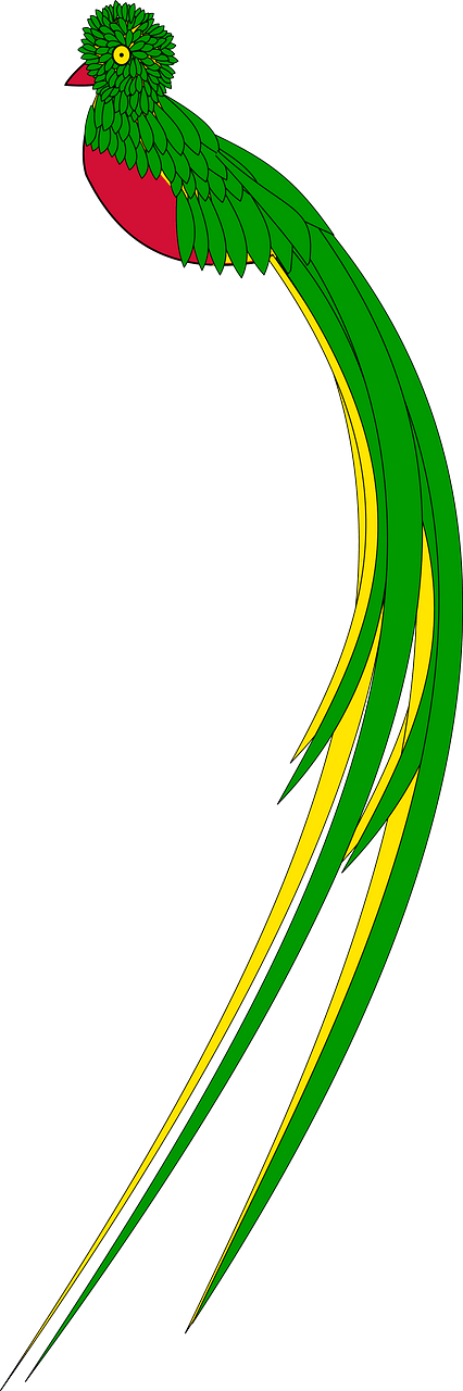 Bird3
