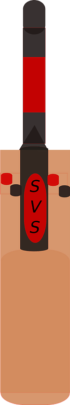 Cricket Bat
