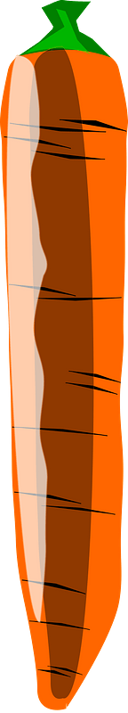 Carrot