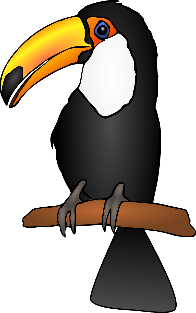 Black Toucan