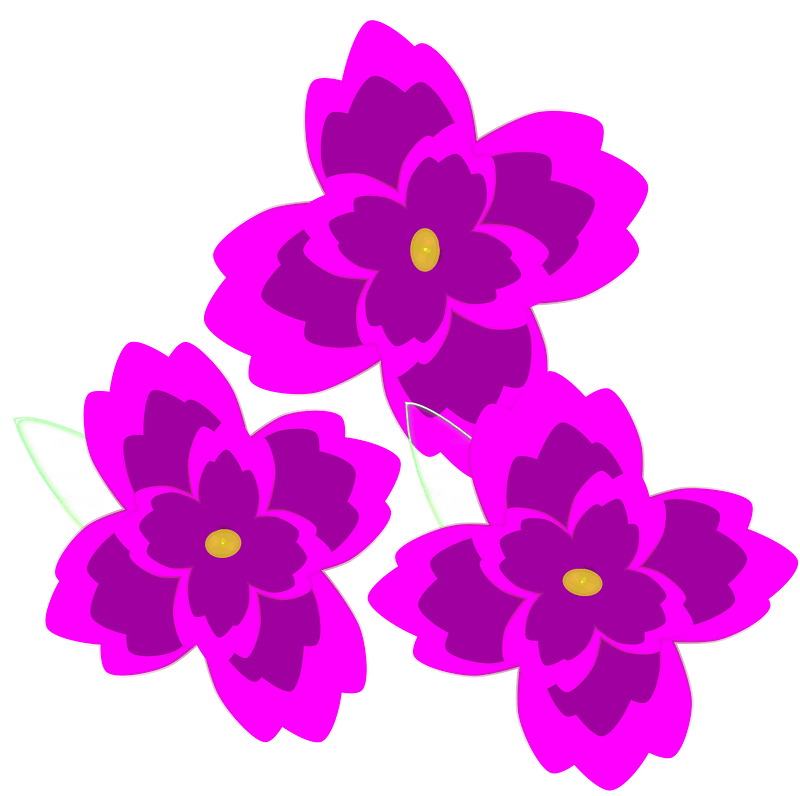 Purple Pansy Flowers