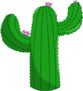 Cactus Saguaro