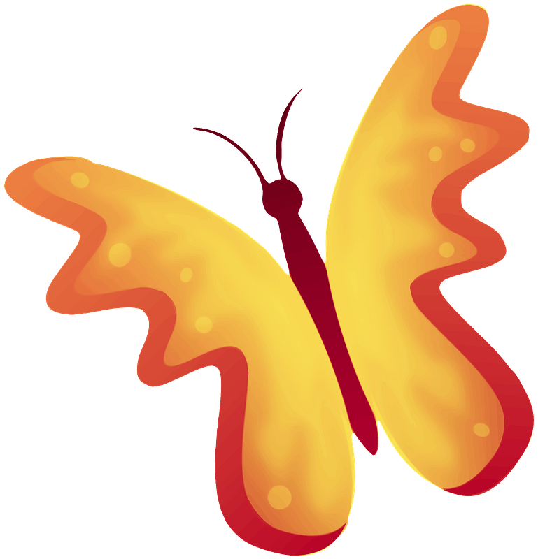 Yellow Butterfly - Wings Open