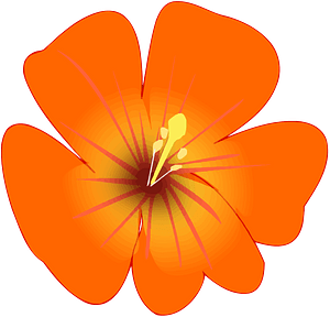 Orangene Blume