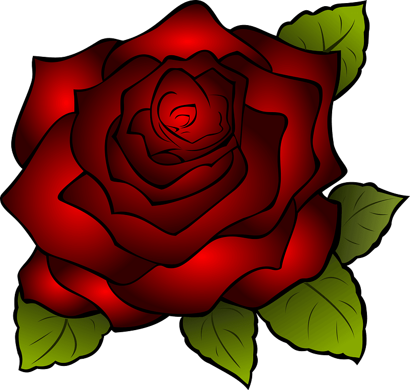 Red Rose