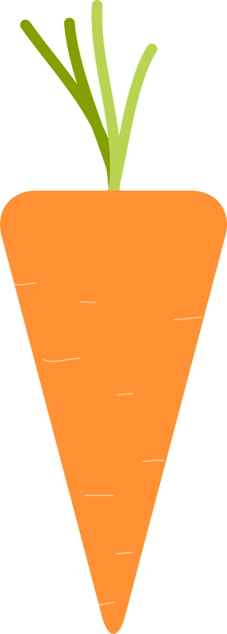 Carrot