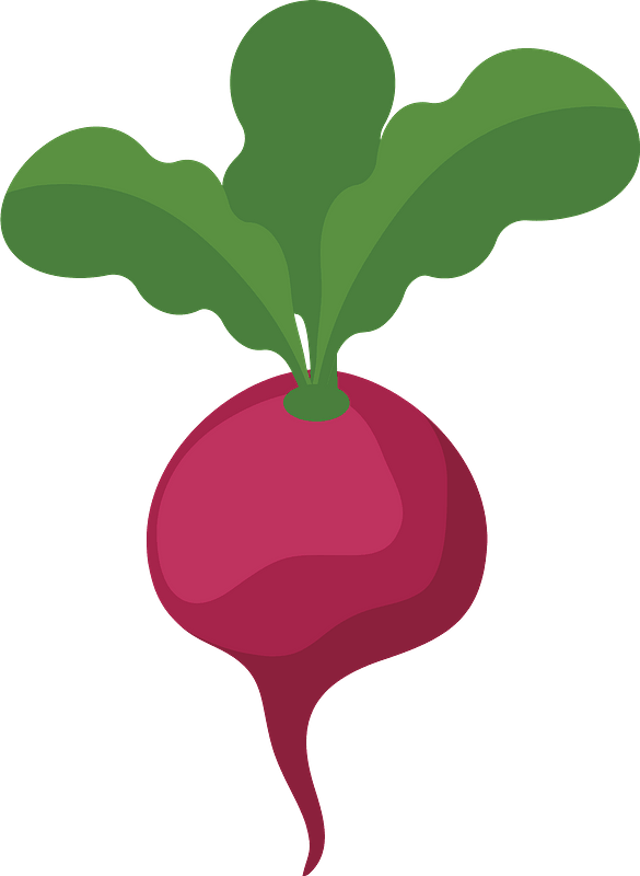 Radish