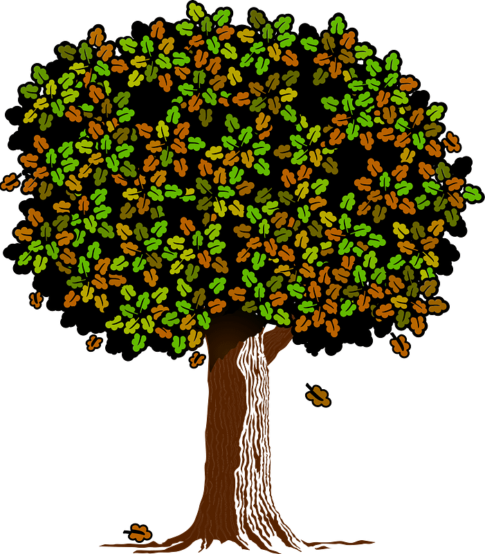 Tree with Green and Brown Leaves