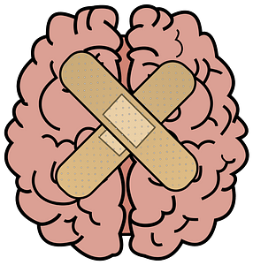 Human Brain - Two Adhesive Bandages Holding the Two Halves Together