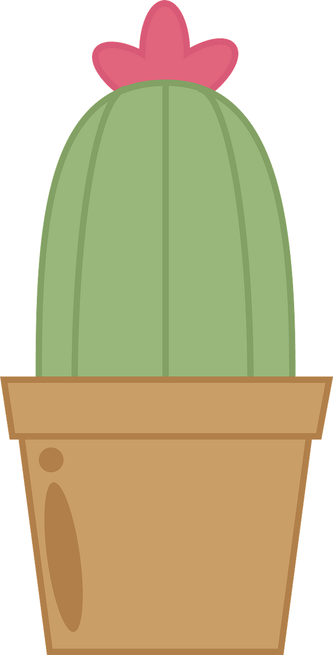 Flowering Cactus in a Brown Pot