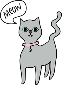 Gray Cat Meowing