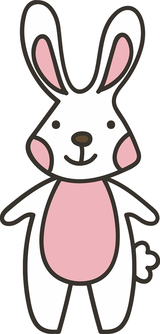 Pink and White Bunny