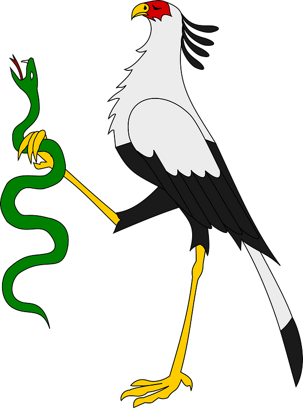 Secretarybird Holding Snake