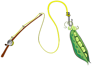 Fishing Pole with a Pea Pod Caught on its Hook