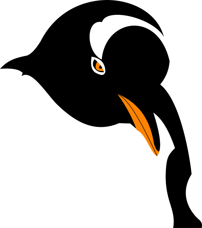 Penguin Face