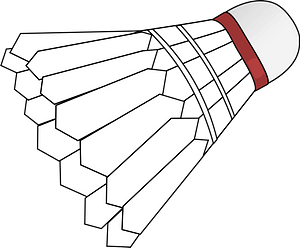 Badminton Shuttlecock