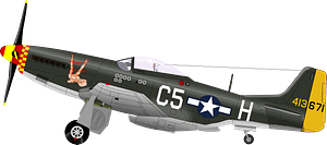 P 51 D 2