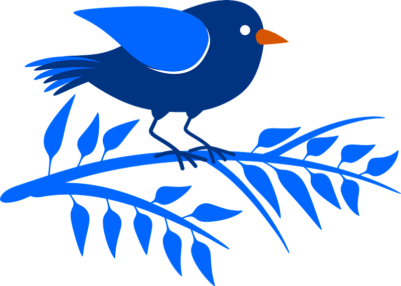 Birds and Vines