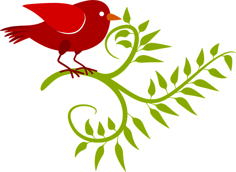 Birds and Vines