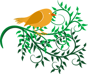 Birds and Vines