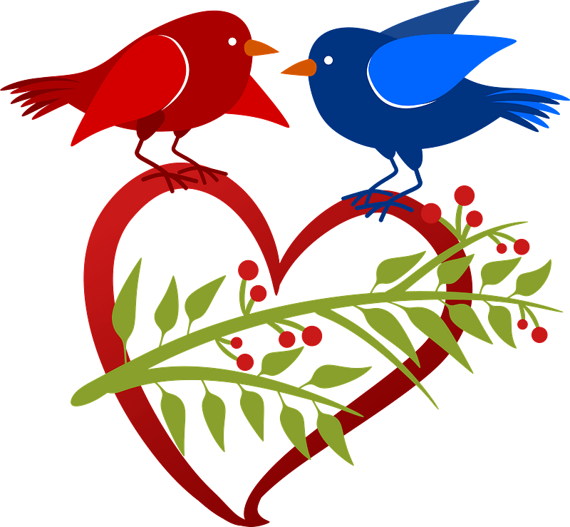 Red Bird and Blue Bird sitting on a Heart