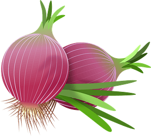 Red Onions