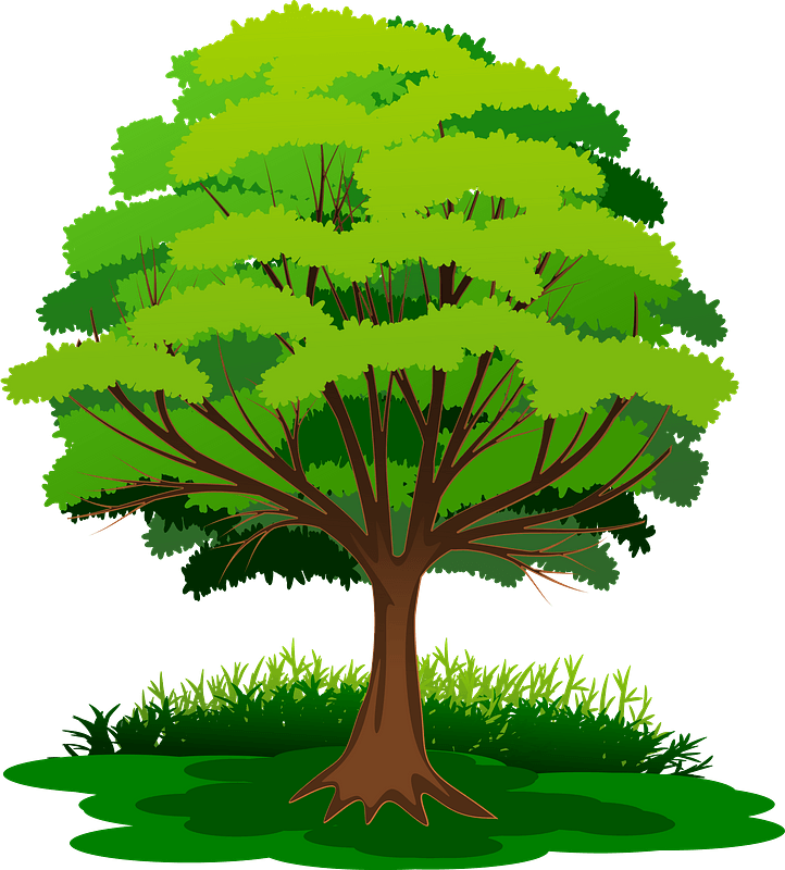 Tree with Green Leaves in the Grass