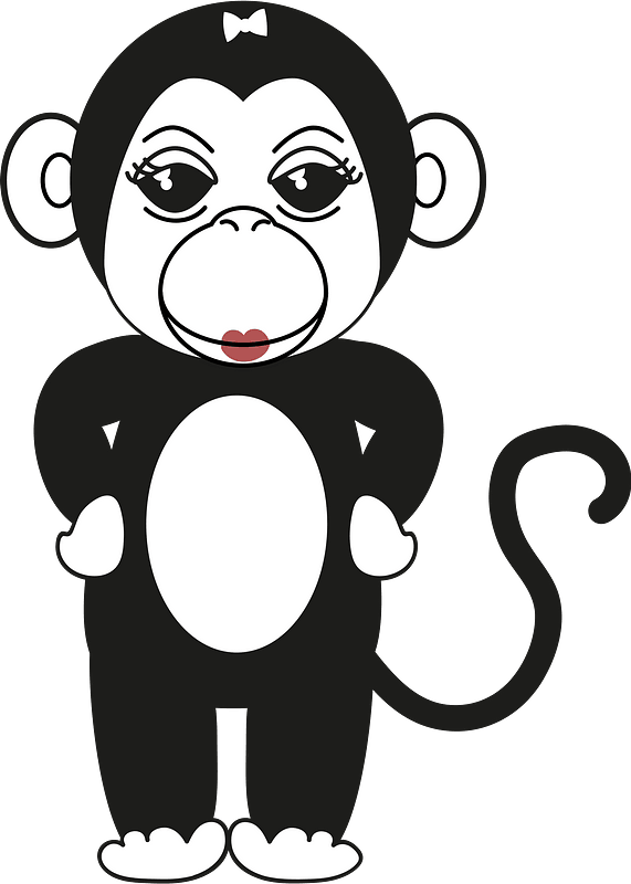 Monkey - black and white