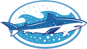 Blue Shark