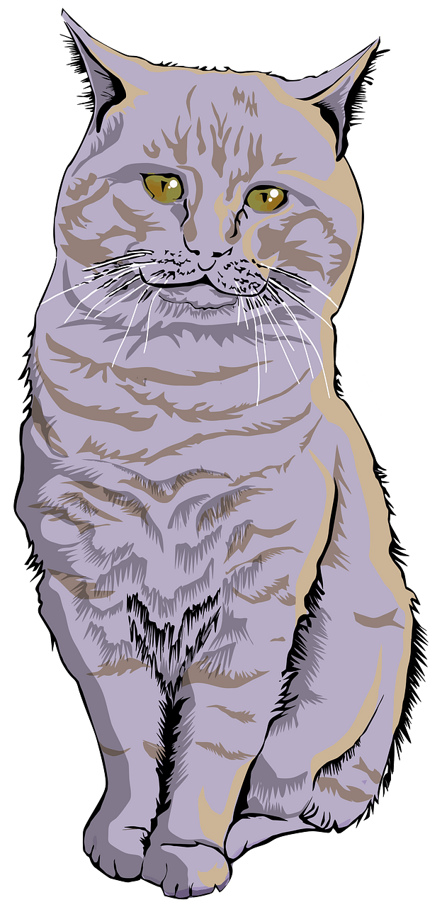 Gray Cat