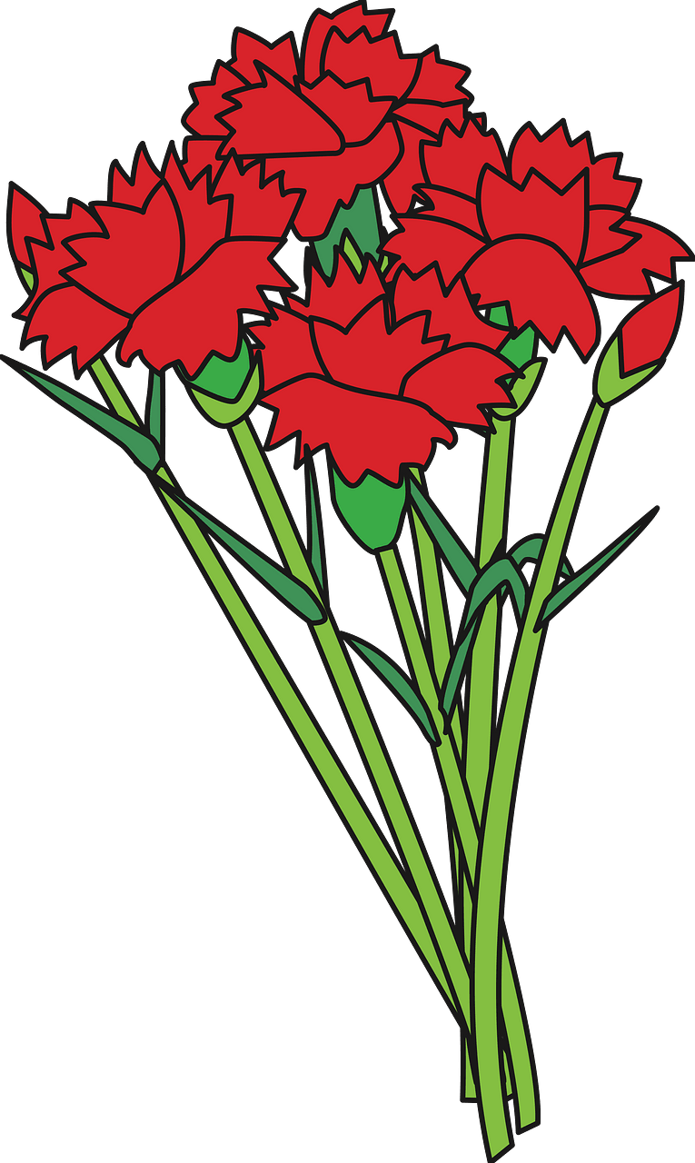 Carnations Bouquet
