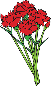 Carnations Bouquet