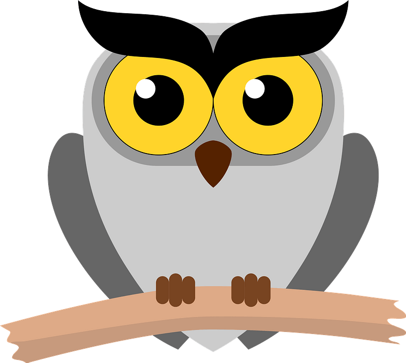 Owl on a Branch