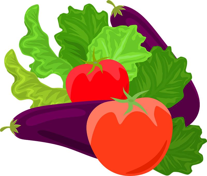 Vegetables - Eggplant and Tomato
