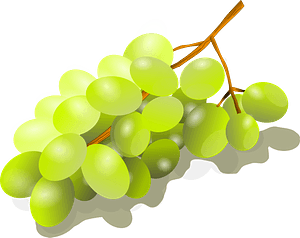 Bunch of green grapes